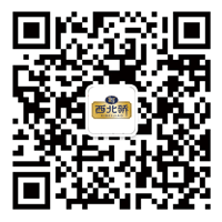 青海西北骄集团官网